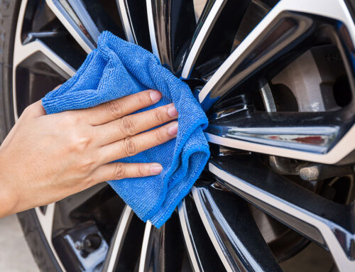 Dignissim qui blandit praesent luptatum